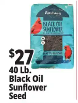 Ocean State Job Lot Black Oil Sunflower Seeds 40 lbs offer