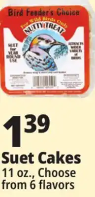 Ocean State Job Lot Bird Feeder's Choice High Energy Suet 11 oz offer