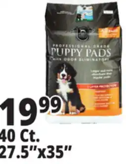 Ocean State Job Lot Huntington Pet Products Professional Grade 27.5 x 35 Puppy Pads with Odor Eliminators 40 Count offer