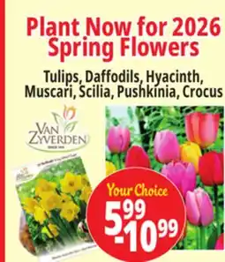 Ocean State Job Lot Plant Now for 2026 Spring Flowers offer