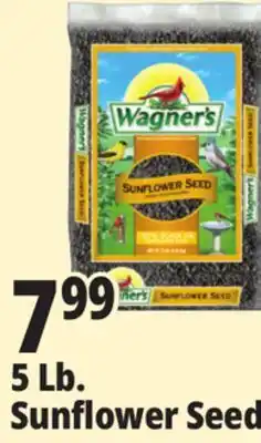 Ocean State Job Lot Wagner's Black Oil Sunflower Seed Wild Bird Food 5 lbs offer
