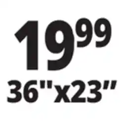 Ocean State Job Lot 36x23 Pet Mats offer