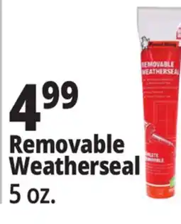Ocean State Job Lot Removable Weatherseal offer