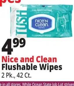Ocean State Job Lot Nice'n Clean Flushable Wipes 42 ct offer