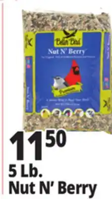 Ocean State Job Lot Better Bird Premium Nut N' Berry Bird Food 5 lbs offer