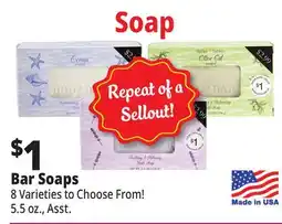 Ocean State Job Lot Bar Soaps offer