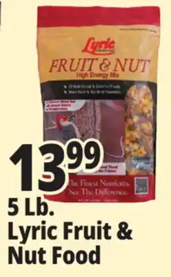 Ocean State Job Lot Lyric Fruit and Nut High Energy Wild Bird Food Mix 5 lbs offer