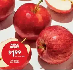 Aldi Michigan Gala Apples offer