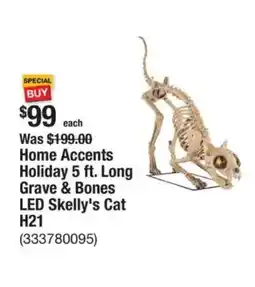 The Home Depot Home Accents Holiday Long Grave & Bones LED Skelly's Cat H21 offer