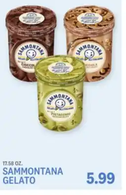 Kings Food Markets SAMMONTANA GELATO offer