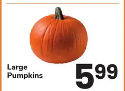 ACME Large Pumpkins offer
