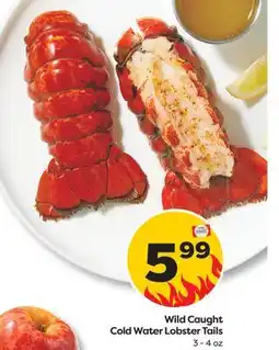 Weis Markets Wild Caught Cold Water Lobster Tails offer