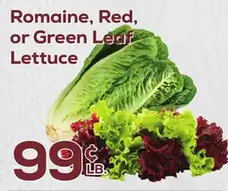 DeCicco & Sons Romaine, Red, or Green Leaf Lettuce offer