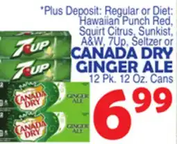 Bravo Supermarkets CANADA DRY GINGER ALE 12 pk 12 oz. cas offer