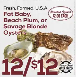 DeCicco & Sons Fat Baby Beach Plum, or Savage Blonde Oysters offer