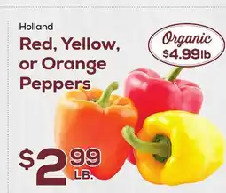 DeCicco & Sons Holland Red, Yellow, or Orange Peppers offer
