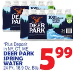 Bravo Supermarkets DEER PARK SPRING WATER offer