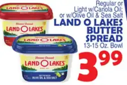 Bravo Supermarkets LAND O LAKES BUTTER SPREAD offer