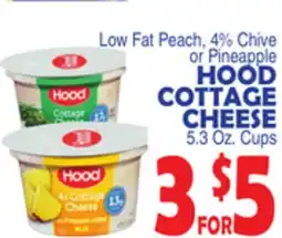 Bravo Supermarkets HOOD COTTAGE CHEESE offer