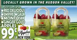 Bravo Supermarkets RED DELICIOUS, EMPIRE, GALA, MCINTOSH, GINGER GOLD APPLES offer