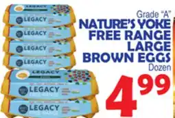 Bravo Supermarkets NATURE'S YOKE FREE RANGE LARGE BROWN EGGS offer