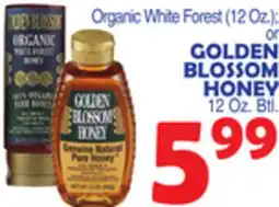 Bravo Supermarkets GOLDEN BLOSSOM HONEY 12 Oz. Btl offer