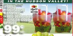 C Town GALA, MCCINTOSH, EMPIRE, RED DELICIOUS, GINGER GOLD APPLES offer
