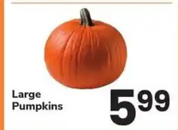 Safeway Large Pumpkins offer