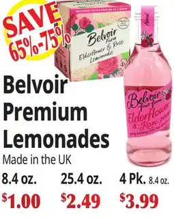 Ocean State Job Lot Premium Lemonades offer