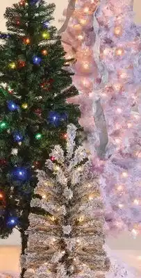 Family Dollar Christmas Trees offer