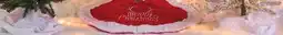 Family Dollar Tree Skirts offer