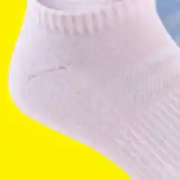 Big 5 Fit Essentials Women's Performance Low-Cut Socks - 6-Pack offer