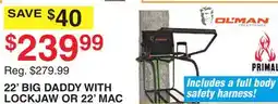 Dunham's Sports 22' BIG DADDY WITH LOCKJAW OR 22' MAC DADDY DELUXE LADDER offer