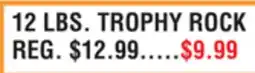 Dunham's Sports 12 LBS. TROPHY ROCK offer