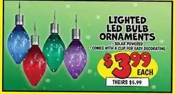 Ollie's LIGHTED LED BULB ORNAMENTS offer