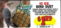 Ollie's BIRD SUET offer