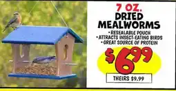 Ollie's DRIED MEALWORMS offer