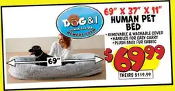 Ollie's HUMAN PET BED offer