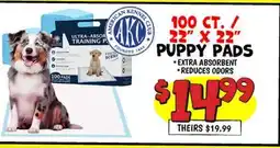 Ollie's 100 CT. / 22 X 22 PUPPY PADS offer