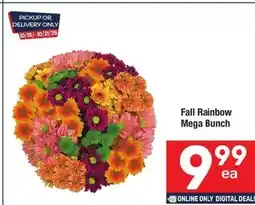 Albertsons Fall rainbow mega bunch offer
