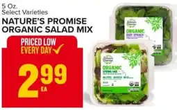 Food Lion Nature's promise organic salad mix offer