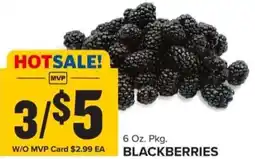 Food Lion BLACKBERRIES offer