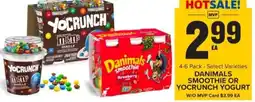 Food Lion Danimals smoothie or yocrunch yogurt offer
