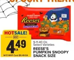 Food Lion Reese's pumpkin snoopy snack size offer