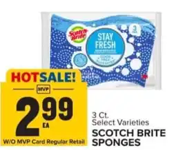 Food Lion Scotch brite sponges offer