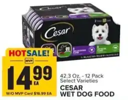Food Lion Cesar wet dog food offer