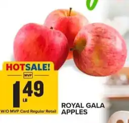 Food Lion Royal gala apples offer