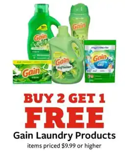 Fareway Gain Laundry Products offer