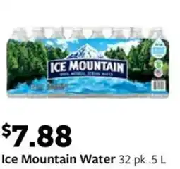 Fareway Ice Mountain Water offer