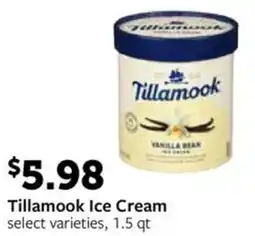Fareway Tillamook Ice Cream offer